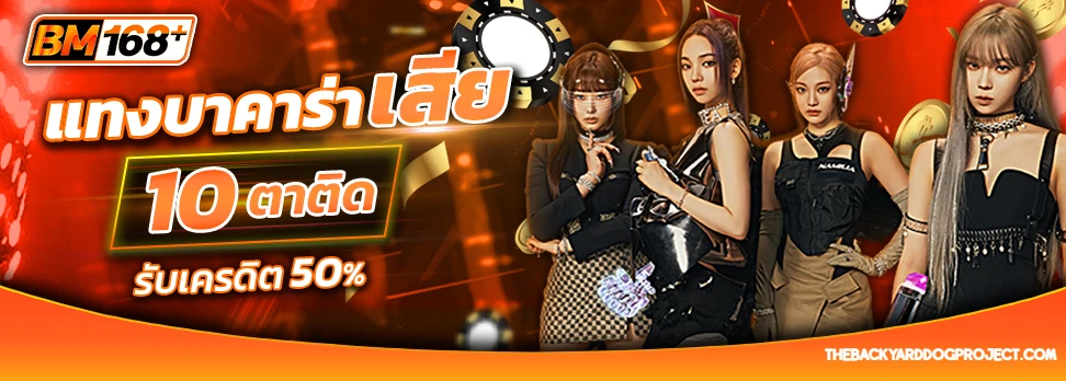 bm plus สล็อต 1
